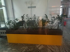 Blumen-Arrangement ca. 250 x 30 x 130 cm Blumen-Arrangement ca. 250 x 30 x 130 cm