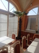 Palme 160 DM, ca. 250 cm H Palme 160 DM, ca. 250 cm H