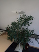 Stehlampe Stehlampe