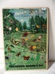 Schultafel Schmetterlinge, 70er Jahre Tafel 1, ca. 41,5x59cm Schultafel Schmetterlinge, 70er Jahre Tafel 1, ca. 41,5x59cm