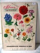 Schultafel Blumen im Garten, Tafel 2, 70 Jahre, ca. 41,5x59cm Schultafel Blumen im Garten, Tafel 2, 70 Jahre, ca. 41,5x59cm