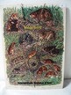 Schultafel heimische Nagetiere, 70er Jahre, ca. 41,5x59cm Schultafel heimische Nagetiere, 70er Jahre, ca. 41,5x59cm
