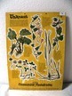 Schultafel Unkraut, 60er Jahre, c.a 41,5x59cm Schultafel Unkraut, 60er Jahre, c.a 41,5x59cm