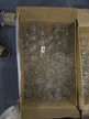 ca. 40 Stk Gläser Puntigamer 0,5l ca. 40 Stk Gläser Puntigamer 0,5l