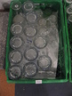 Box mit Gläser Box mit Gläser