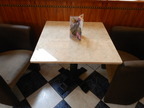 5 Stk.Gastrotische ca. 70x70 cm 5 Stk.Gastrotische ca. 70x70 cm