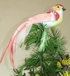 Vögel mit Clip 42388 12 Stk ca 13 cm Vögel mit Clip 42388 12 Stk ca 13 cm