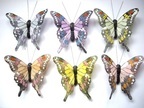 Schmetterling a Clip 42399 12 Stk. Ca 9 cm Schmetterling a Clip 42399 12 Stk. Ca 9 cm