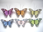 Schmetterling a Clip 42410 12 Stk ca. 10 cm Schmetterling a Clip 42410 12 Stk ca. 10 cm