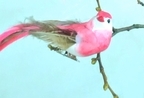 Vögel mit Clip 42398 12 Stk ca 13 cm Vögel mit Clip 42398 12 Stk ca 13 cm