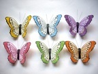 Schmetterling a Clip 42403 12 Stk ca. 8 cm Schmetterling a Clip 42403 12 Stk ca. 8 cm