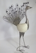 Pfau ca 75x50 cm Pfau ca 75x50 cm