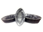 Pflanzkorb Oval 3er Set 7660 ca35x28x12 cm Pflanzkorb Oval 3er Set 7660 ca35x28x12 cm