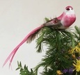 Vögel mit Clip 42398 12 Stk ca 13 cm Vögel mit Clip 42398 12 Stk ca 13 cm