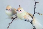 Vögel mit Clip 42373 12 Stk ca 14 cm Vögel mit Clip 42373 12 Stk ca 14 cm