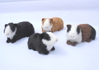 Meerschweinchen 4 Stk. Ca 15 cm Meerschweinchen 4 Stk. Ca 15 cm