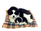 Hund Kunstfell 62740 ca 27x21x13 cm Hund Kunstfell 62740 ca 27x21x13 cm