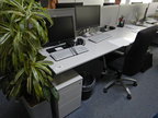 Bene Schreibtisch, ca. 200x80cm mit integriertem Rollcontainer Bene Schreibtisch, ca. 200x80cm mit integriertem Rollcontainer