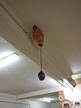 Kabelrolle 230V für Wandmontage Kabelrolle 230V für Wandmontage