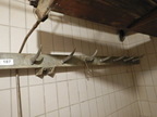 Fleisch-Hackenleiste ca. 450 cm Fleisch-Hackenleiste ca. 450 cm