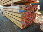 50 Stk. H20 Schalungsträger, L 245cm 50 Stk. H20 Schalungsträger, L 245cm