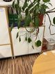 Flügeltürenschrank Flügeltürenschrank