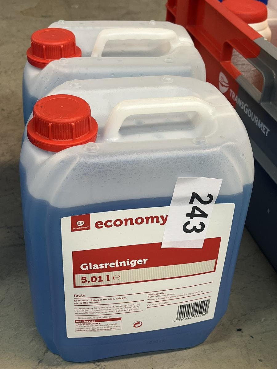 2x5L Glasreiniger?d=2024-11-01 06:30:07