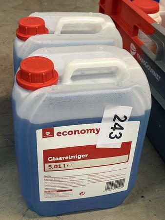 2x5L Glasreiniger