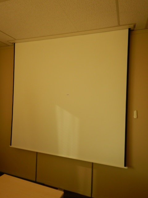 Elektro Leinwand mit Antrieb ca. 220x220 cm?d=2024-11-24 13:21:24