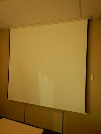 Elektro Leinwand mit Antrieb ca. 220x220 cm