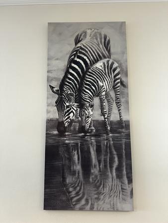 1 Bild, Zebra