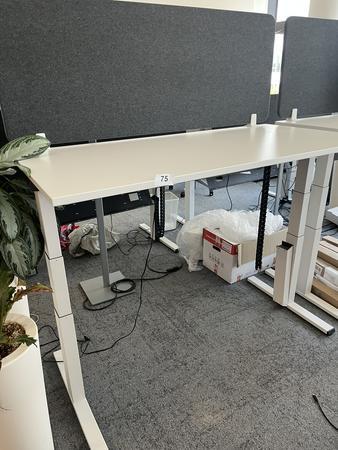 Sitz-,Steh-,Schreibtisch 160x80 cm , Steelcase elektrisch höhenverstellbar ca.65/120cm mit Sichtblende abnehmbar, Baujahr 2021 Sitz-,Steh-,Schreibtisch 160x80 cm , Steelcase elektrisch höhenverstellbar ca.65/120cm mit Sichtblende abnehmbar, Baujahr 2021