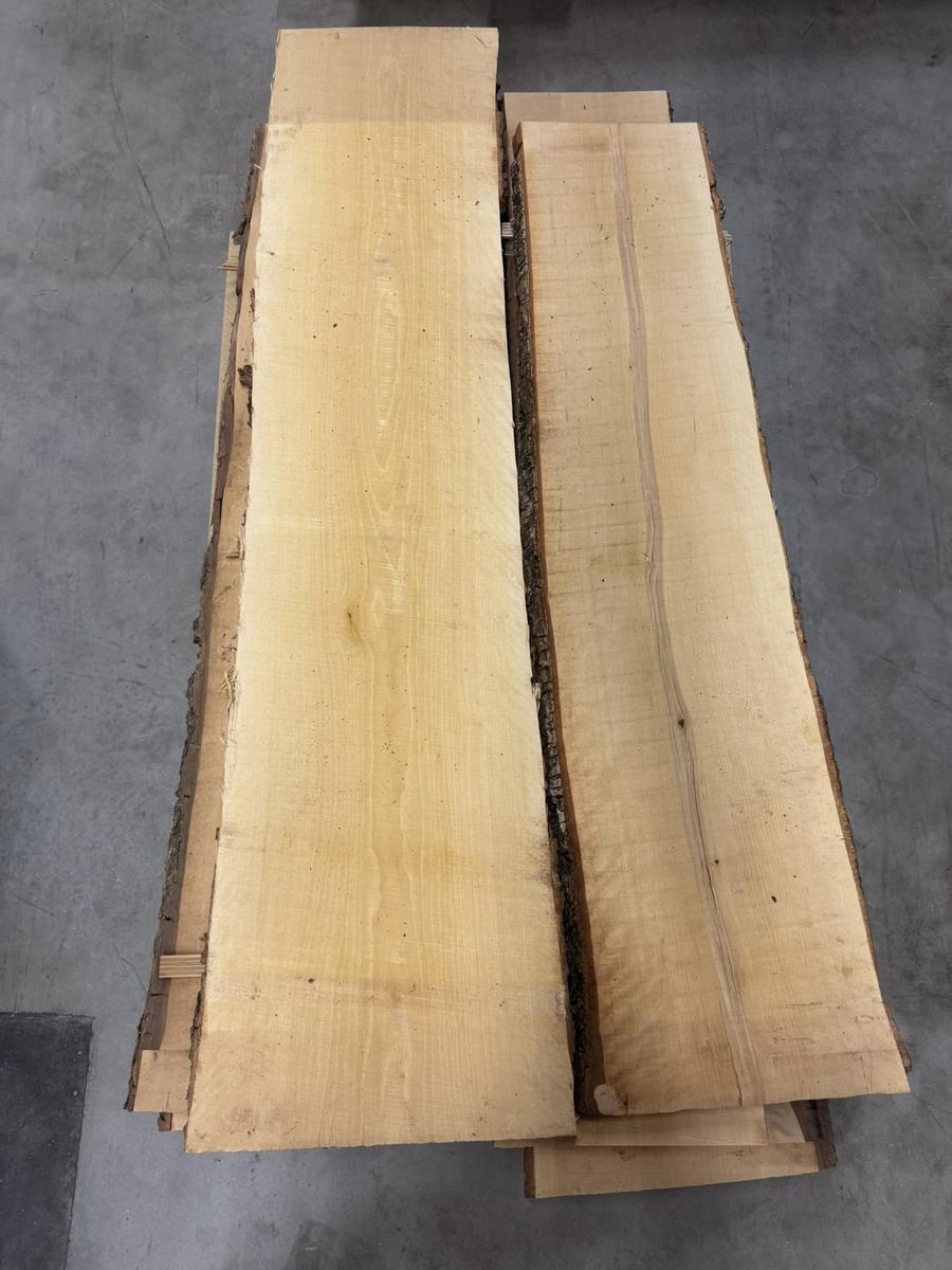 2.8m² B10_Kern Birke 6,2 1200x500x35_01