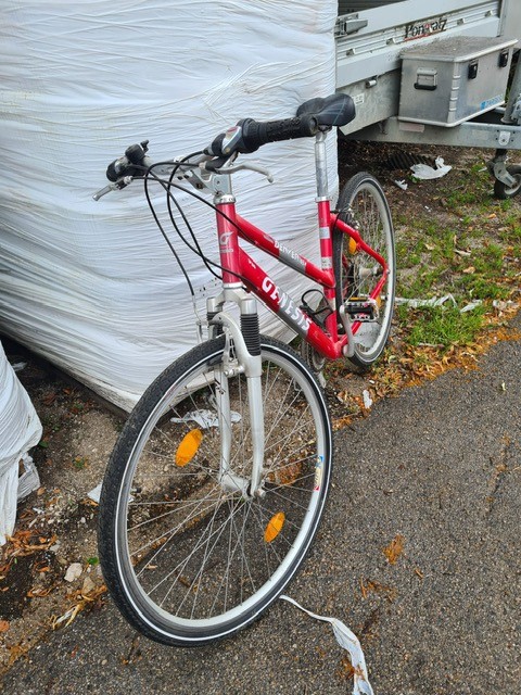Damenfahrrad, 21-Gang?d=2025-06-18 12:13:20