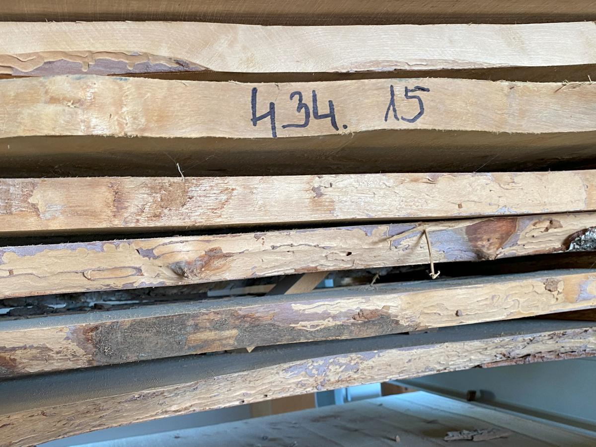 Regalinhalt: 15 Stk.Birkenhölzer 30er