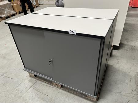 2 Stk. Aktenschränke 120 x 45 x 84 cm 2 Stk. Aktenschränke 120 x 45 x 84 cm