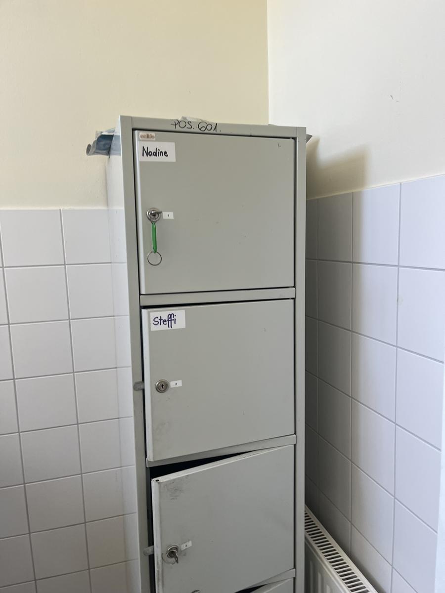 Handtaschenspind 6 Fächer mit 4 Schlüssel 35/50/195 cm