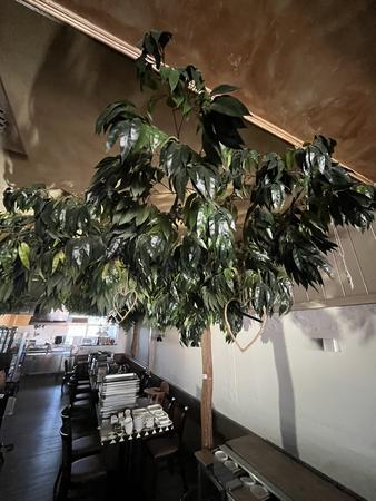 4 Stück Kunst-,Dekobäume - im Lokal verteilt 4 Stück Kunst-,Dekobäume - im Lokal verteilt