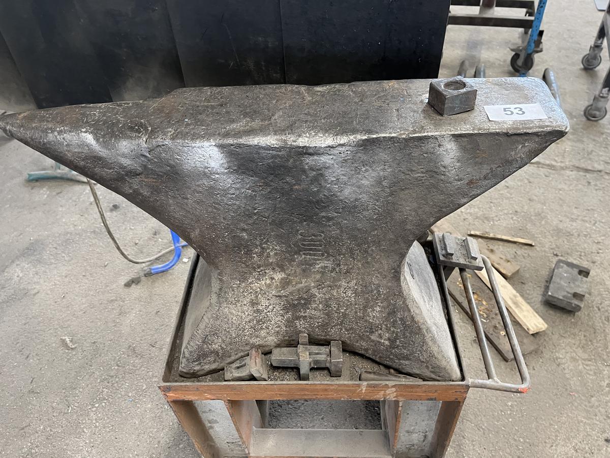 Amboss 300 kg