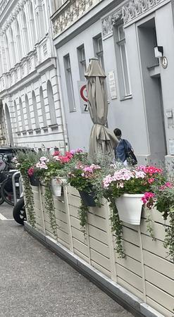 Gastgarten Gelenksschirm