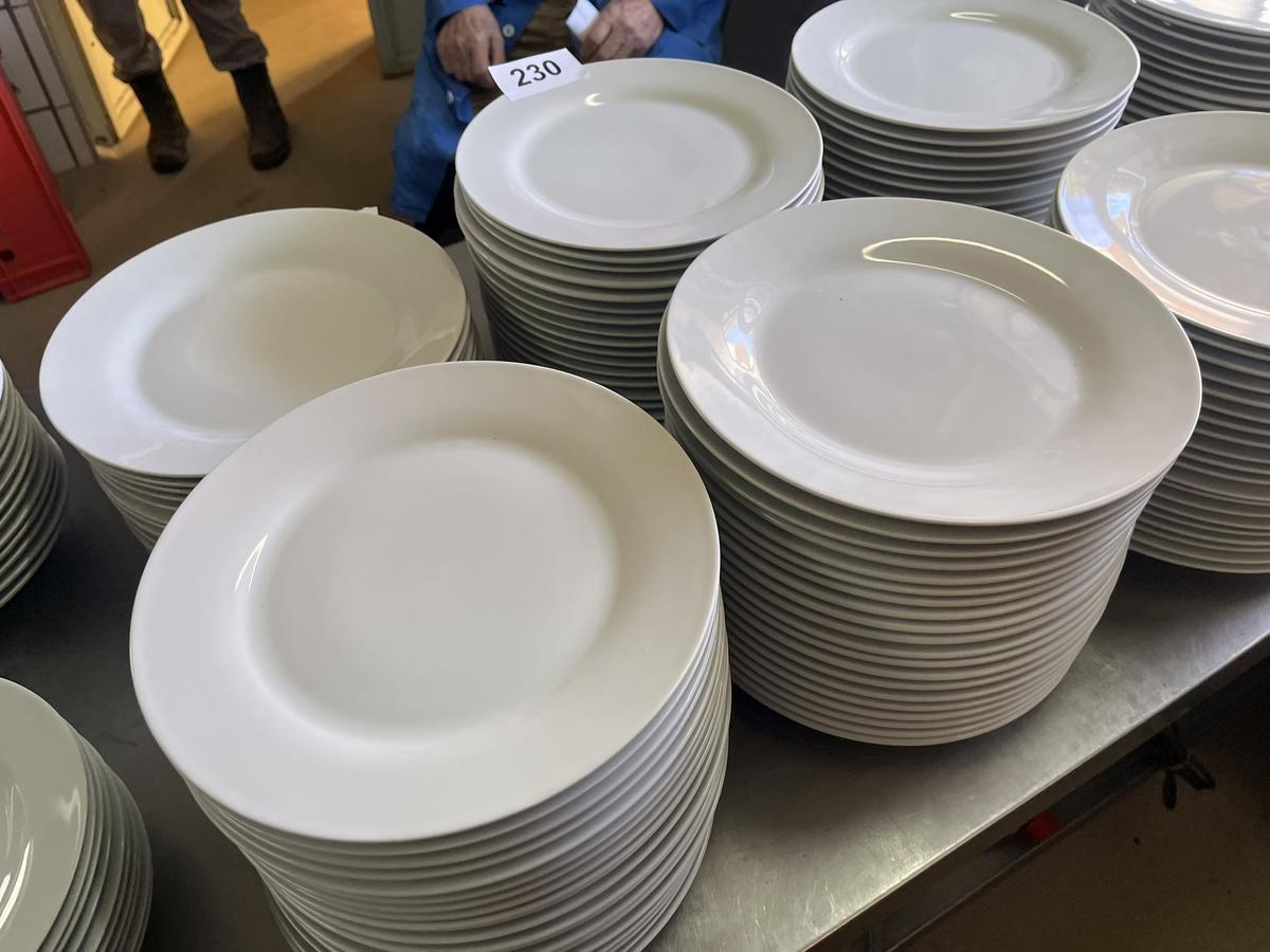 114 Stück Teller flach 27 cm