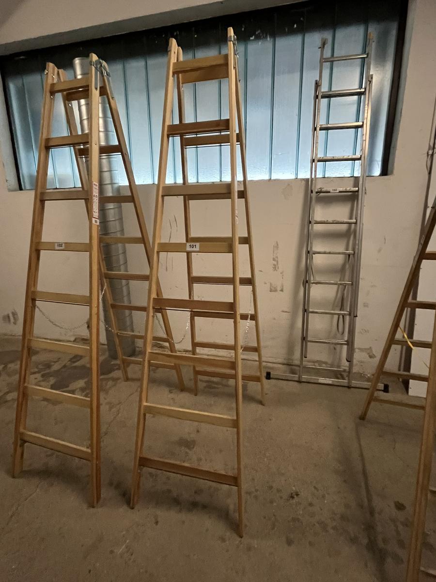Holz-,Doppelstehleiter Steiner neuwertig 2 x 8 Sprossen?d=2025-11-28 15:09:49