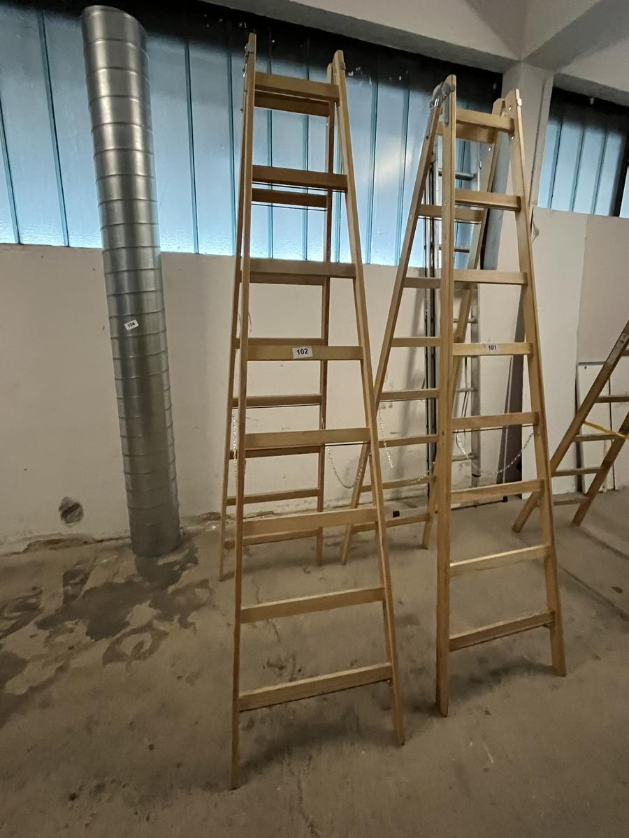 Holz-,Doppelstehleiter Steiner neuwertig 2 x 8 Sprossen?d=2025-11-28 15:09:46