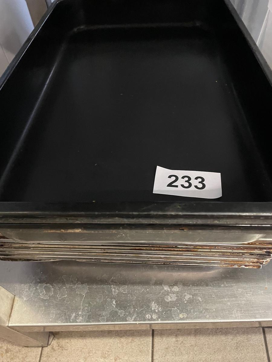 15 Stk. Bleche 1/1 mit 4cm, 3 Stk. Bleche 1/1 mit 8 cm, 2 Stk. Lochgitter 1/1 mit 3 cm?d=2025-11-21 19:44:05