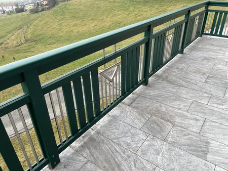 Aluzaun grün ca. 890/340/317 cm - leicht demontierbar - Profile abschraubbar von Bodenhülse - siehe Fotos Aluzaun grün ca. 890/340/317 cm - leicht demontierbar - Profile abschraubbar von Bodenhülse - siehe Fotos