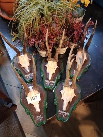 5 St�ck Troph�en Krickerl