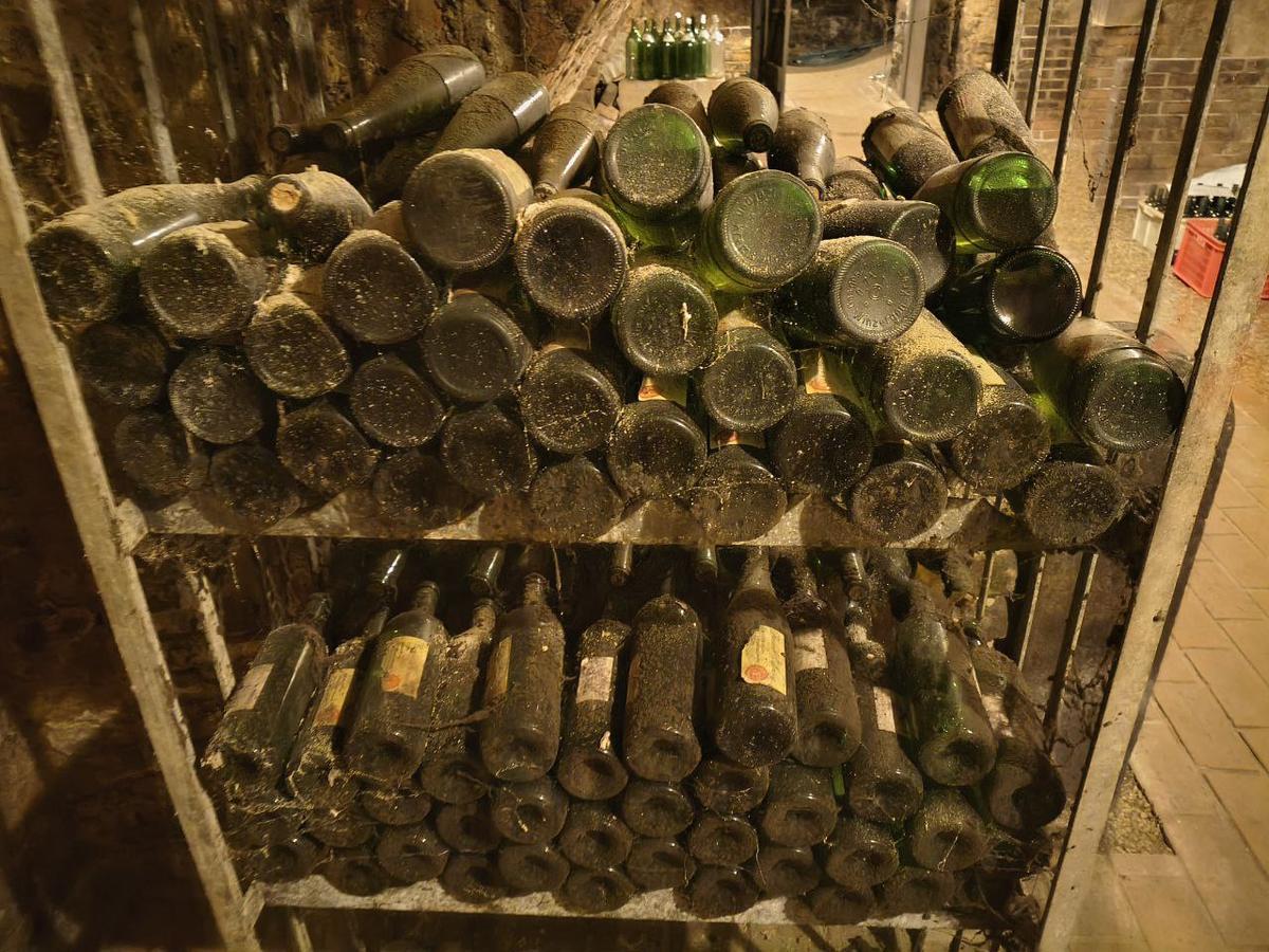 200 Flaschen Rheinriesling Kabinett 1990, Winzer Krems, trocken, 12%, 0.75l, Kork, absolute Rarit&auml;t, perfekte Lagerung im Weinkeller?d=2026-02-19 17:17:57