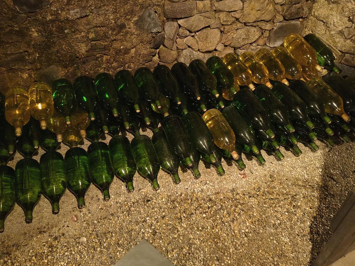 293 Flaschen Riesling 2019, Bio-Weingut Berger Grinzing, trocken, Pr&uuml;fnr. 225/20, 12,2%, altersfirnig, Altwein, 39 Flaschen &agrave; 0.75L, 170 Flaschen &agrave; 1L, 84 Flaschen &agrave; 2L?d=2026-02-19 17:16:08