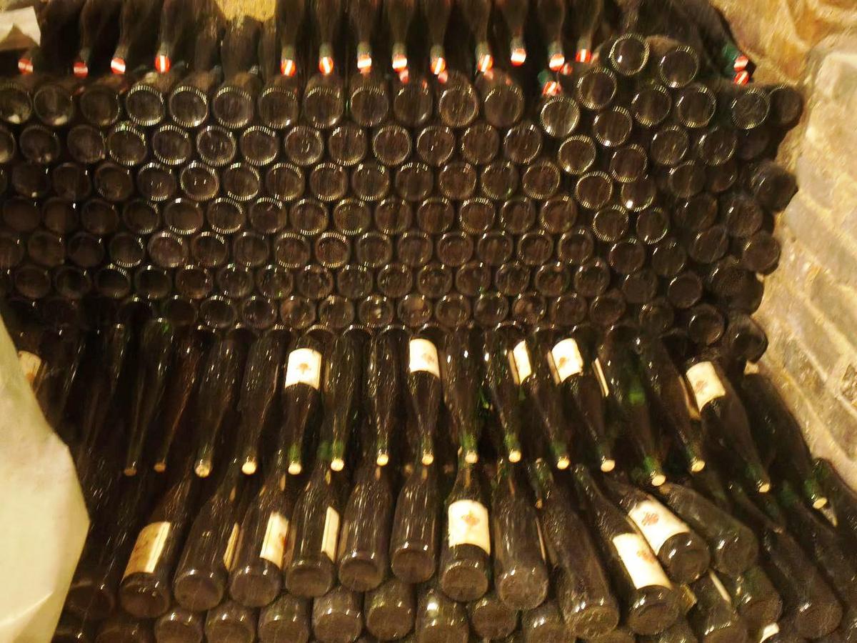 Riesling 2016, Bio-Weingut Berger Grinzing, trocken, Pr&uuml;fnr. N12513/17, 12,9%, blank, Alterl, Juchten, edelfirnig, Altwein, 800 Bouteillen 0.75L, Schrauber?d=2026-02-19 17:16:18