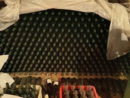 356 Flaschen Riesling 2018, Bio-Weingut Berger Grinzing, trocken, Pr�fnr. K18/19, 12,5%, Altwein, Juchten, mit noch feiner S�urestruktur, 317 Flasche � 1L, 39 x Bouteillen 0.75